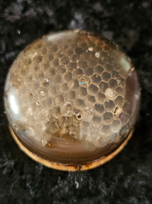 Honeycomb paperweight